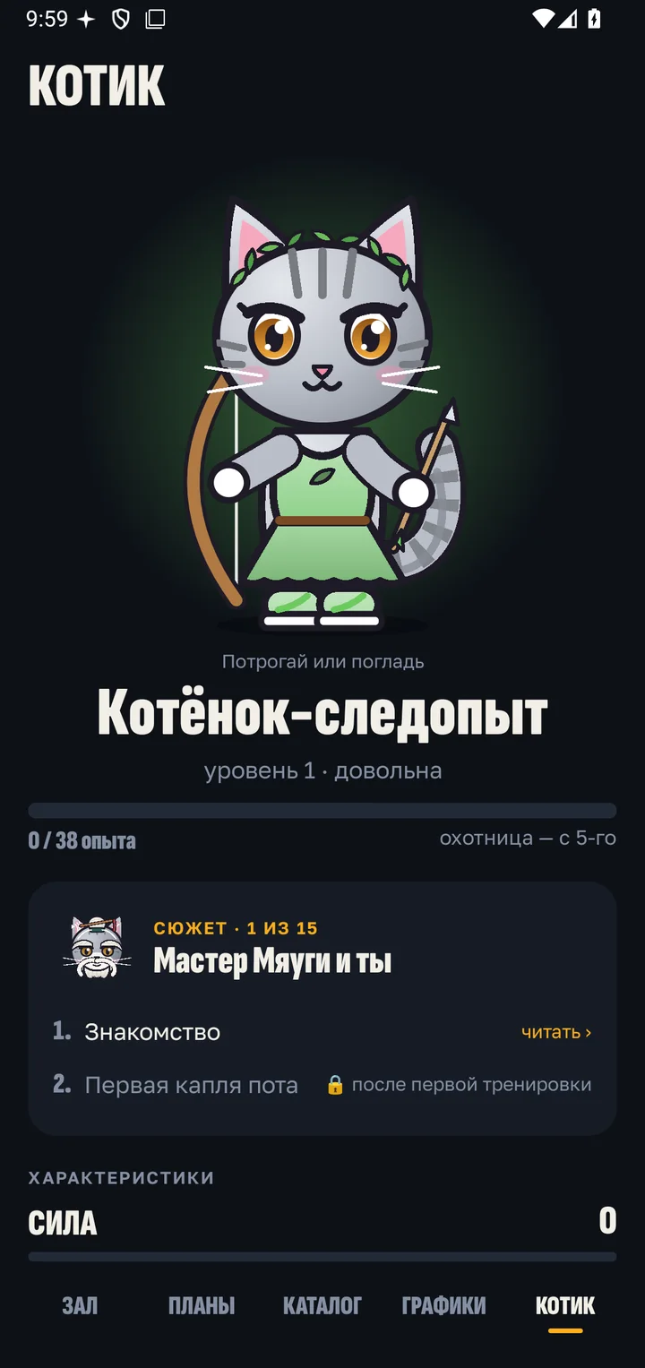 Котик